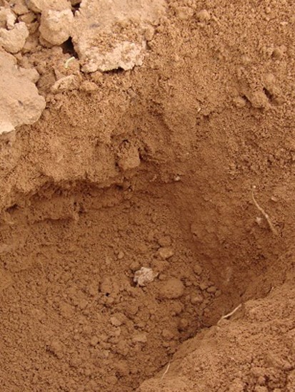 Suelos arcilloso en la naturaleza